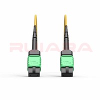 Câble Trunk RUIARA RR-MPO-50 MTP MPO OM3 OM4 OM5 OS2 à Fibre Optique Haute Densité à Faible Perte pour Centre de Données (Conducteur GOF)