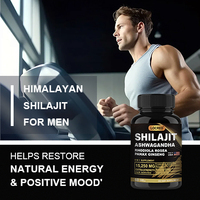 Vente en gros OEM privé Capsules de Shilajit de l'Himalaya Soutien énergétique et immunitaire amélioré Hommes et femmes 60 capsules