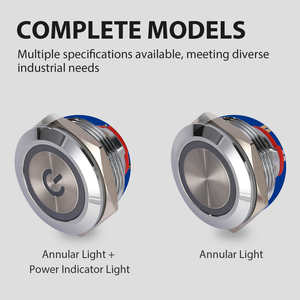 GQ19BF-10E/जे कारखाने की कीमत 19 मिमी धातु पुश बटन स्विच लोगो ip65 वाटरप्रूफ 12 वी 24 वी क्षणिक रोशनी वाली स्विच कार शुरू - Product Image 5