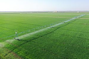 Fully Automated Center Pivot <b>Irrigation</b> System with Integrated Rainfall Sensors and <b>Timer</b> - Product Image 2