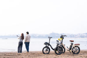 KOOLUX X16 Vélo de ville électrique, Vélo électrique urbain pour femme, Vélo électrique hybride adulte, Vélo électrique Chopper, Entrepôt UE - Product Image 6