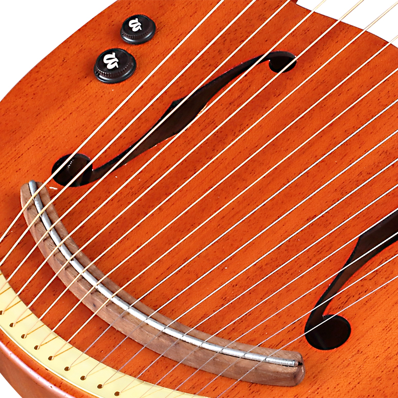 超価格 Walter ハープ 半音レバー付き WH-19OM EQ ケース付き