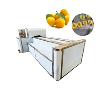 Équipement de dénoyautage de fruits en acier inoxydable machine à fendre la coupe la pomme la poire