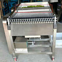 Machine à peler les haricots et les pois multifonctionnelle, machine industrielle à peler les edamame et les pois verts pour la vente en gros avec certification CE
