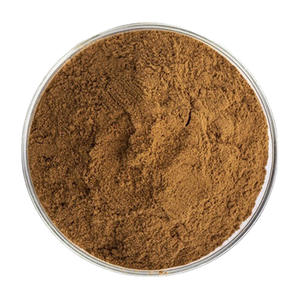 Extrait de Cynomorium Songaricum : Soutien Rénal et Stimulant de Vitalité – Poudre Pure Naturelle Suo Yang 10:1 20:1 – Personnalisable en Vrac - Product Image 2