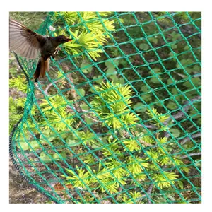 Filet Anti oiseaux Pour Jardin Protéger Les Plantes - Temu Belgium