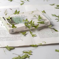 Feuilles de volubilis pressées avec tiges MNR2215, spécimens de plantes séchées, DIY pour coques de téléphone, art et marque-pages