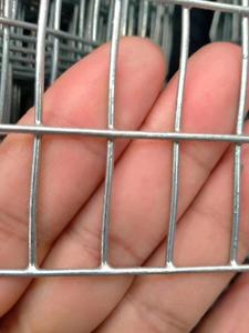 Sıcak satış en iyi fiyat galvanizli kaynaklı rulo örgü dikenli tel galvanizli demir tel, düşük karbonlu demir tel kaplı Pvc veya galvanizli - Product Image 3