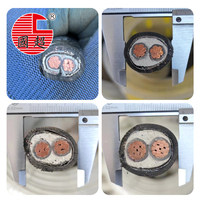 Cable de alimentación YJV22-0.6/1kV de 2 núcleos con conductor de cobre sin oxígeno, armadura de cinta de acero y retardante de llama (10mm²-95mm²) en stock