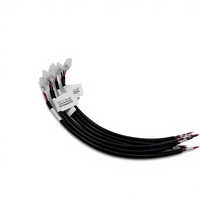 Câble adaptateur de faisceau de câblage en cuivre pur, assemblage isolé en PVC 300V, 100 mm, personnalisable pour serveur industriel et PLC