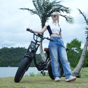 <span class=keywords><strong>Vélo</strong></span> <span class=keywords><strong>électrique</strong></span> à pneus larges 20"X4.0, 1000W 48V 20Ah, entrepôt Brésil, <span class=keywords><strong>vélo</strong></span> tout-terrain haute vitesse pour adultes - Product Image 2
