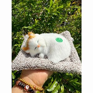 Peluche <span class=keywords><strong>Anime</strong></span> Super Morbido a Forma di Gatto Dormiente <span class=keywords><strong>con</strong></span> Suoni di Miao e Cuscino - Regalo per Bambini - Product Image 1