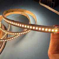 Bande LED SMD2835 haute densité 240 LED/m DC12V DC24V Ra90 1800lm IP20 Éclairage commercial intérieur Certificat américain