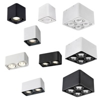 Spot à LED monté en surface pour le salon Lumière de la boîte de couloir Anti-éblouissement Double Head Bold Light Single Head No Main