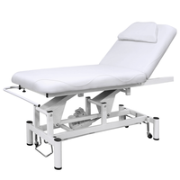 Lit de massage électrique portable pour tout le corps avec roues mobiles, table de spa pour salle de sport, design moderne, salon de beauté, oreiller inclus