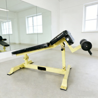 Équipement de fitness commercial pour salle de sport, banc inclinable réglable pour l'entraînement des bras, des jambes et du dos