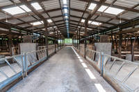 Abri agricole préfabriqué en acier de conception moderne pour l'élevage de chèvres et de moutons à usage agricole