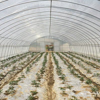 Serre agricole à voûte unique pour la culture des légumes, serre commerciale