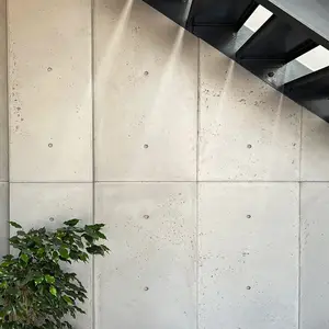Bau dekorative Faserzement Wand platte Europa Stil Beton Zement Wand verkleidung für den Außenbereich