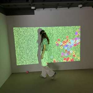 2025 Defi <span class=keywords><strong>Interactive</strong></span> Floor 3D Proyector holográfico para piso multijugador y juego de pared Sistema de proyección de holograma 3D - Product Image 5