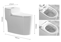 WC monobloc moderne blanc en céramique pour salle de bain, style occidental