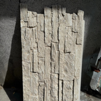 Relief de pierre artistique européen de panneau de mur de faux faisceau 3D en plastique léger et durable pour le matériau de construction d'hôtel