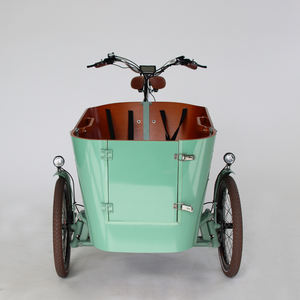 <span class=keywords><strong>Porte</strong></span> ouverte avant pour <span class=keywords><strong>chien</strong></span> Take Dog Vélo à trois roues Vélo cargo électrique Vélo cargo de livraison - Product Image 3