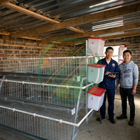 Cage à poules pondeuses 120 oiseaux 3 niveaux 5 portes, cage en batterie galvanisée à chaud, collecte automatique des œufs, équipement d'élevage avicole