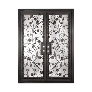 Porte en fonte design de luxe cadre en fer forgé avec porte d'entrée en verre trempé dépoli double portes pour la maison