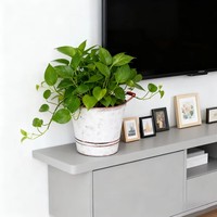 Pot de fleurs suspendu en métal de 0,9 gallon avec crochet amovible pour la décoration de balcon et de jardin