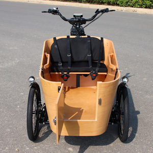 Tricycle électrique à assistance pédale 25 km/h, à chargement frontal, 3 roues, 4 places, vélo cargo électrique pour adultes et personnes âgées - Product Image 2