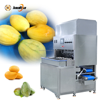 Automatische industriële mango-, avocado- en appelenschilmachine met hoge efficiëntie
