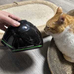 Mini <span class=keywords><strong>casque</strong></span> de moto en ABS <span class=keywords><strong>intégral</strong></span> avec doublure <span class=keywords><strong>pour</strong></span> chats, chiens et petits animaux – Cadeau adorable et sûr - Product Image 6