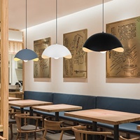 Lustre en Coquille de Fer pour Restaurant et Magasin, Design Minimaliste Moderne, Lumière LED, Installation Double Usage