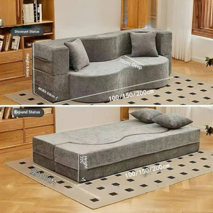 Sofá Cama Moderno, Simple, Desmontable, Lavable, Comprimido al Vacío, para Apartamento, para Sentarse, Acostarse, Plegable - Product Image 4