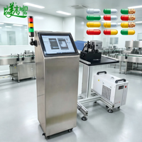 Machine de marquage laser UV pour capsules, fabricant de machines de marquage laser, marquage visuel en vol pour composants en forme de capsule