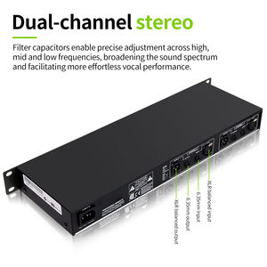 RAYHAYES 215 apparecchiature Audio professionali equalizzatore grafico a 31 bande di alta qualità con microfono Recordio - Product Image 6