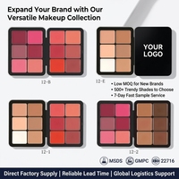 Crème blush, anticernes et palette de 12 teintes à fini naturel, marque privée d'usine, logo personnalisé disponible pour le maquillage professionnel