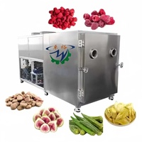 Zhuoyu RVS Voedsel Vacuüm Vriesdroger Hoge Efficiëntie Directe Productie Thee Droogmachine