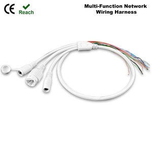 Cable de Conexión Personalizado para Cámara IP de 10 Núcleos y Doble <span class=keywords><strong>Red</strong></span>, Arnés de Cableado Multifuncional a Prueba de Agua - Product Image 1