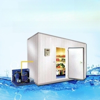 Unidad de almacenamiento de cámara frigorífica Modular móvil a precio de China Mini congelador práctico para carne y pescado con compresor Copeland automático