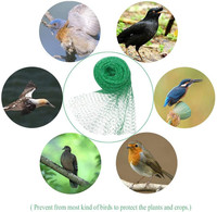 Empêcher le filet d'oiseaux de maille de jardin de chasse pour les filets anti-oiseaux en nylon de jardin pour le champ de riz