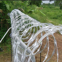 Fil de fer galvanisé à double hélice, fil barbelé pour la protection des vignobles, choix économique