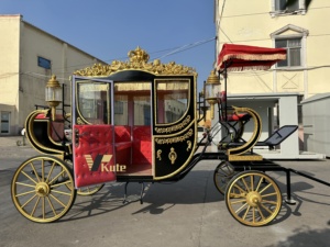 Calèche royale européenne de luxe blanche pour mariage, calèche électrique de princesse, à vendre - Product Image 1