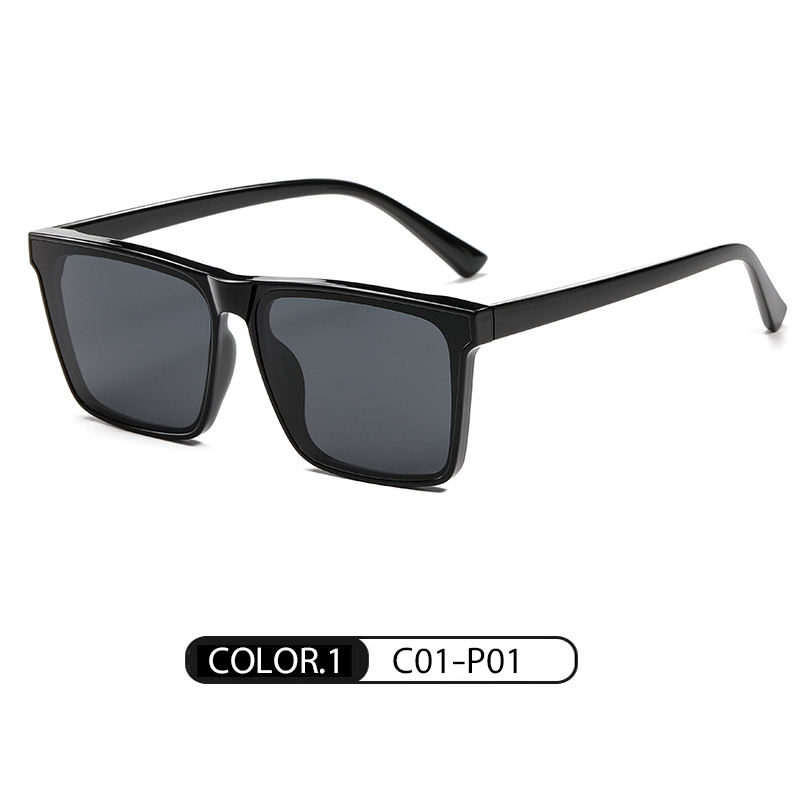 สีดำสว่างเทา C01-P01