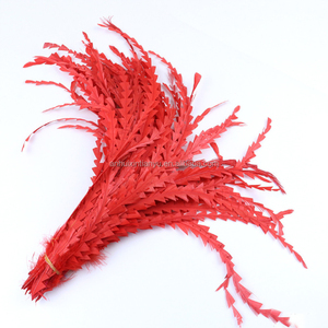 Plumas de cola de gallo en forma de corte recortado teñido al por mayor de fábrica 27-35cm para sombrerería - Product Image 5