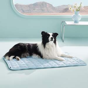 Tapis rafraîchissants pour chiens, doux, respirants, antidérapants, lavables, taille personnalisée, en tissu et plastique, lits rafraîchissants - Product Image 1