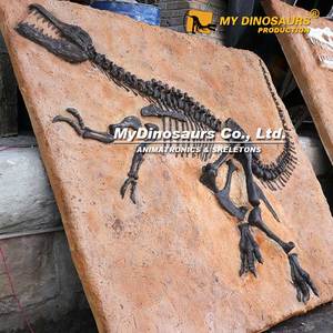 Hóa Thạch Khủng Long Velociraptor Cỡ Thật Thời Tiền Sử Của Tôi Để Bán - Product Image 6