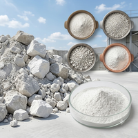 Poudre d'argile kaolinique calcinée HONGSEN en gros, blanche, haute pureté 99% (43,2% Al2O3, faible Fe2O3, SiO2) pour usage céramique, ciment, papier