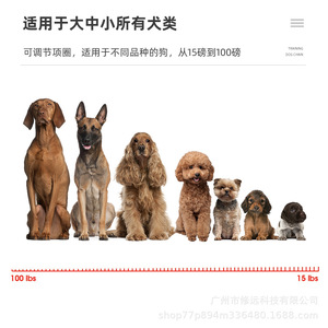 Collier de dressage électrique rechargeable pour chiens, portée 1000m, avec télécommande, anti-aboiement, fournitures pour animaux de compagnie - Product Image 5